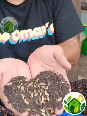 Edukasi, Aksi, dan Solusi Nyata Pengelolaan Sampah - komunitas pengelola sampah organik