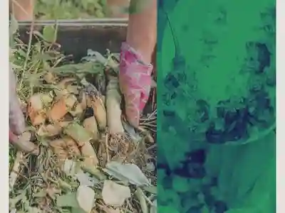 Panduan praktis olah sampah organik di rumah - komunitas pengelola sampah organik