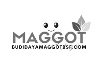 budidaya-maggot-bsf-icon