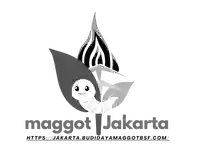 maggot_jakarta-icon