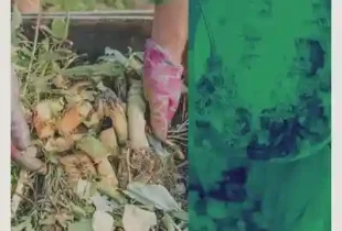 olah-sampah-organik Panduan praktis olah sampah organik di rumah - komunitas pengelola sampah organik